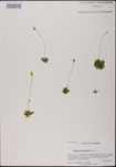 000025177-thumbnail.jpg
