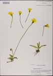 000025178-thumbnail.jpg