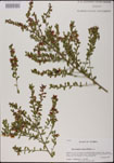 000025183-thumbnail.jpg