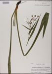 000025192-thumbnail.jpg