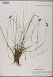000025194-thumbnail.jpg
