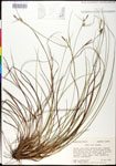 000025206-thumbnail.jpg