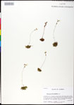000025215-thumbnail.jpg