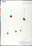 000025216-thumbnail.jpg