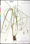 000025223-thumbnail.jpg