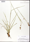 000025224-thumbnail.jpg