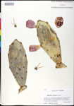 000025229-thumbnail.jpg
