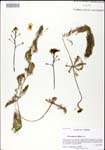 000025234-thumbnail.jpg