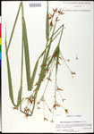 000025247-thumbnail.jpg