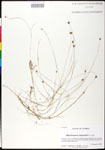 000025248-thumbnail.jpg