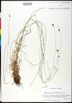 000025249-thumbnail.jpg