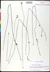 000025253-thumbnail.jpg