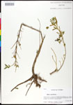 000025256-thumbnail.jpg