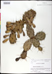 000025270-thumbnail.jpg