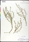 000025273-thumbnail.jpg