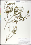 000025275-thumbnail.jpg