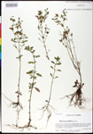 000025276-thumbnail.jpg