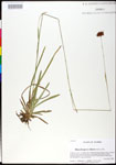 000025280-thumbnail.jpg