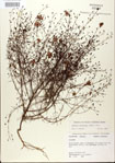 000025475-thumbnail.jpg