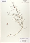 000025500-thumbnail.jpg