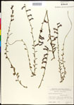 000025992-thumbnail.jpg