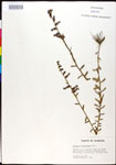 000025994-thumbnail.jpg