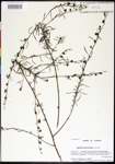 000026334-thumbnail.jpg