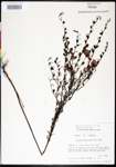 000026336-thumbnail.jpg