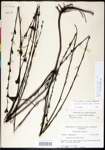 000026371-thumbnail.jpg