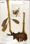 000026427-thumbnail.jpg