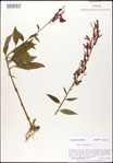 000026430-thumbnail.jpg