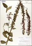 000026432-thumbnail.jpg