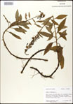 000026433-thumbnail.jpg