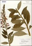 000026434-thumbnail.jpg