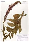 000026435-thumbnail.jpg
