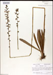 000026446-thumbnail.jpg