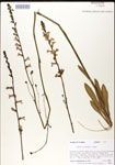 000026449-thumbnail.jpg