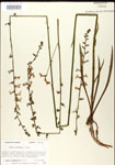 000026450-thumbnail.jpg