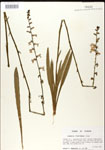 000026451-thumbnail.jpg