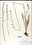 000026452-thumbnail.jpg