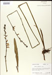 000026453-thumbnail.jpg