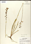 000026455-thumbnail.jpg