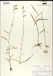 000026456-thumbnail.jpg