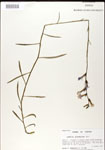 000026457-thumbnail.jpg