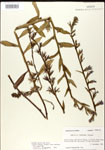 000026458-thumbnail.jpg