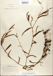 000026599-thumbnail.jpg