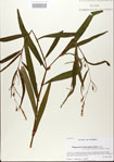 000026600-thumbnail.jpg