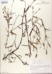 000026601-thumbnail.jpg