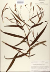 000026602-thumbnail.jpg