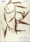 000026603-thumbnail.jpg